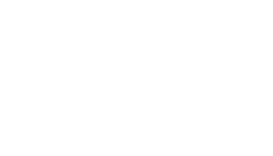 Yellow Dog Bread Co., Raleigh N.C.
